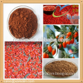 GMP manufacture supply certified goji berry powder/free samples organic goji berry capsules